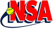 Logo NSA